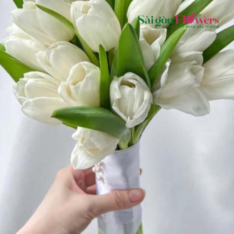 CÔ DÂU TUỔI MỚI LỚN