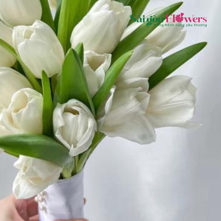 CÔ DÂU TUỔI MỚI LỚN