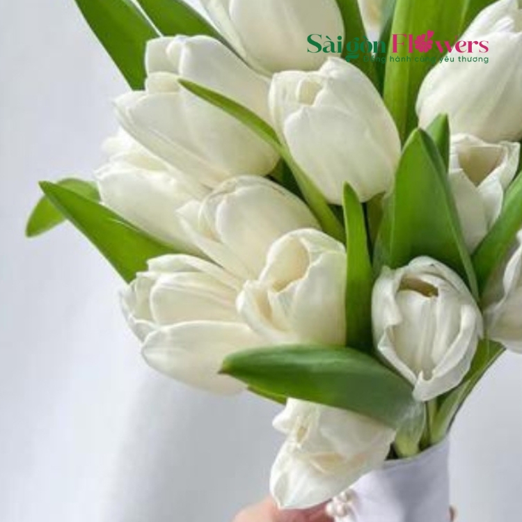 CÔ DÂU TUỔI MỚI LỚN