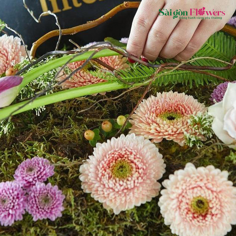 ĐÓA HOA CHIA BUỒN