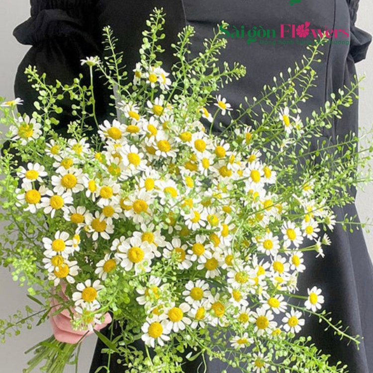 HOA CÚC ĐƠN GIẢN