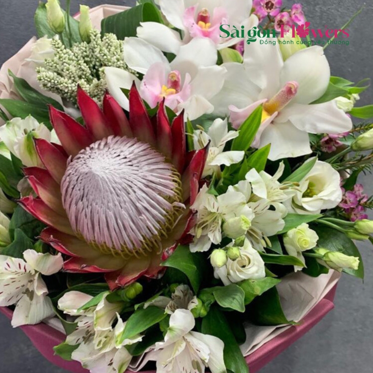 HOA THỦY TIÊN RẠNG NGỜI