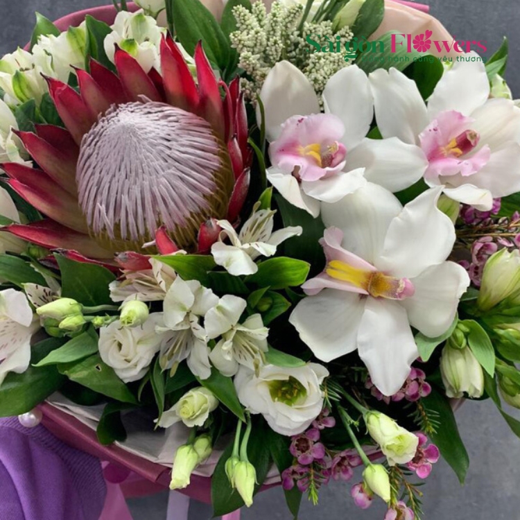 HOA THỦY TIÊN RẠNG NGỜI