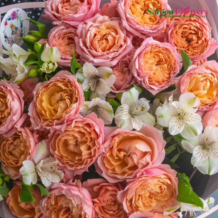 MÃI MÃI THỦY CHUNG