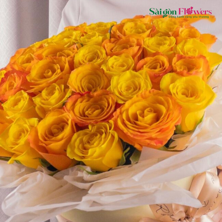 MẶT TRỜI RẠNG RỠ