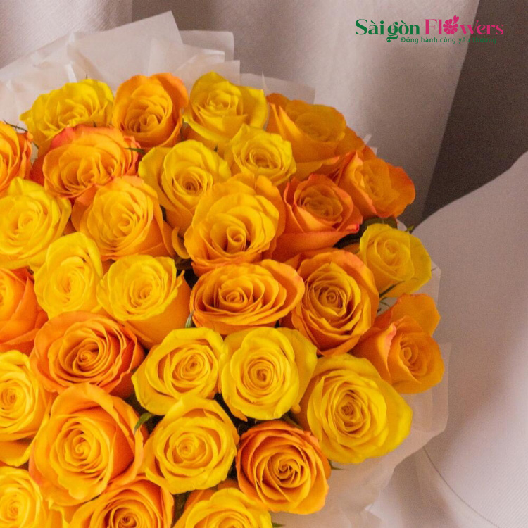 MẶT TRỜI RẠNG RỠ