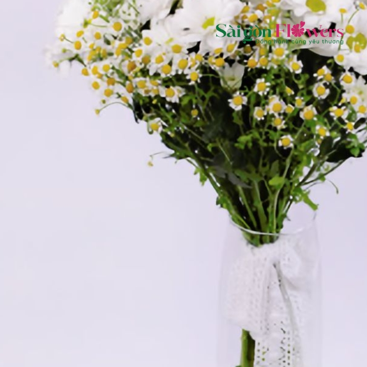 MÙA HÈ THANH BÌNH