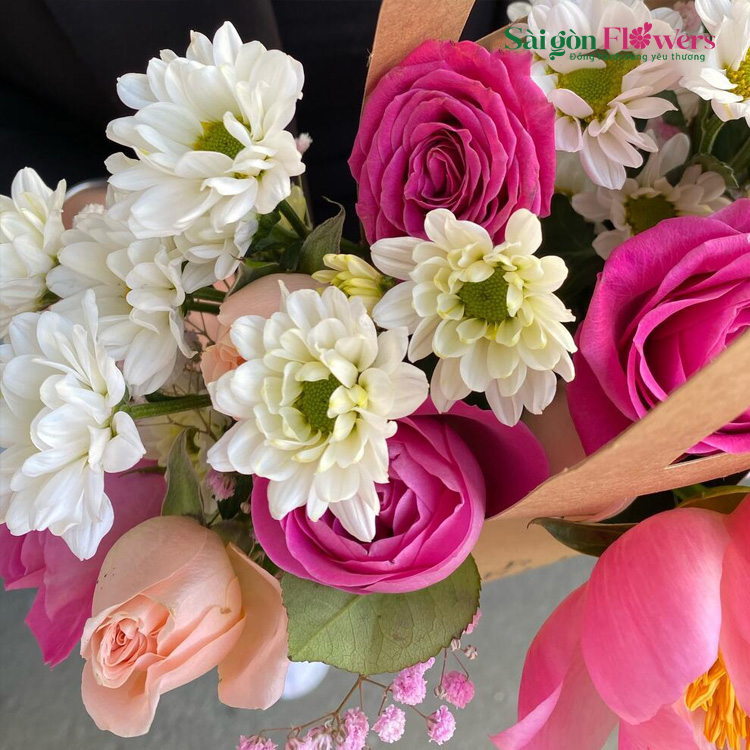 NHẸ NHÀNG BƯỚC ĐẾN