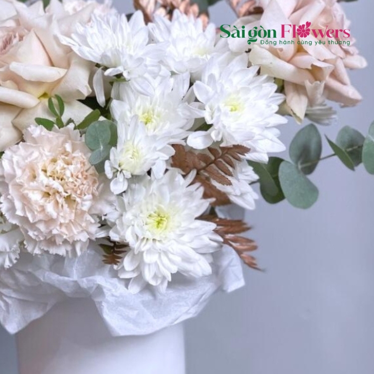 SẮC NÉT