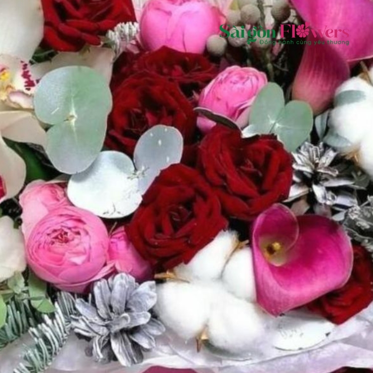 TIẾT TẤU HÀI HÒA