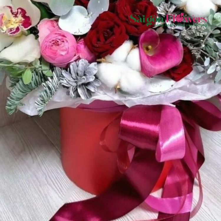 TIẾT TẤU HÀI HÒA