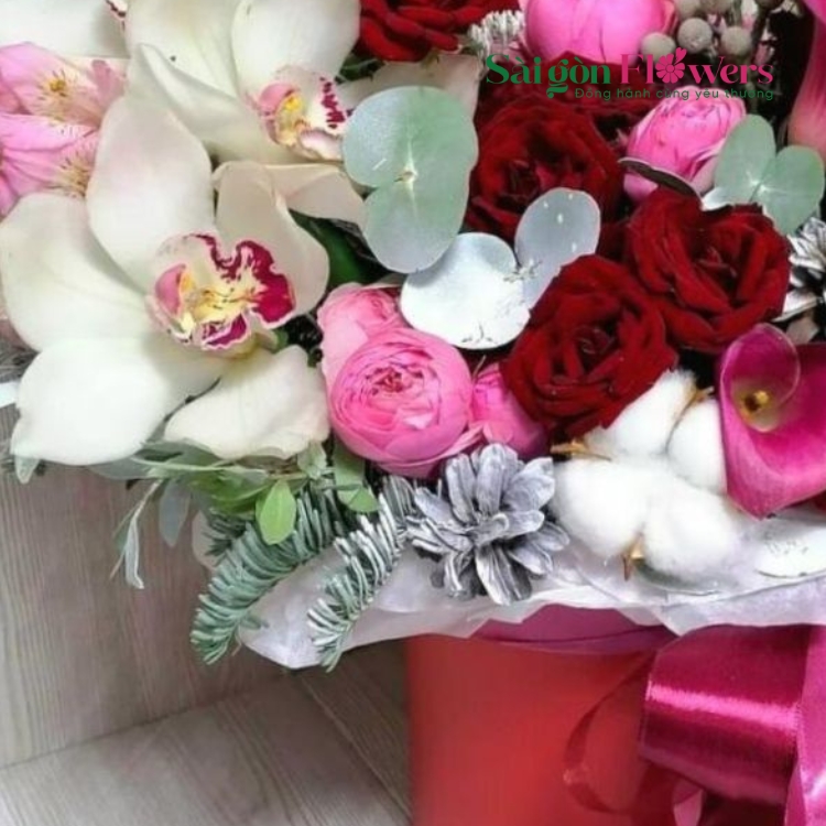 TIẾT TẤU HÀI HÒA