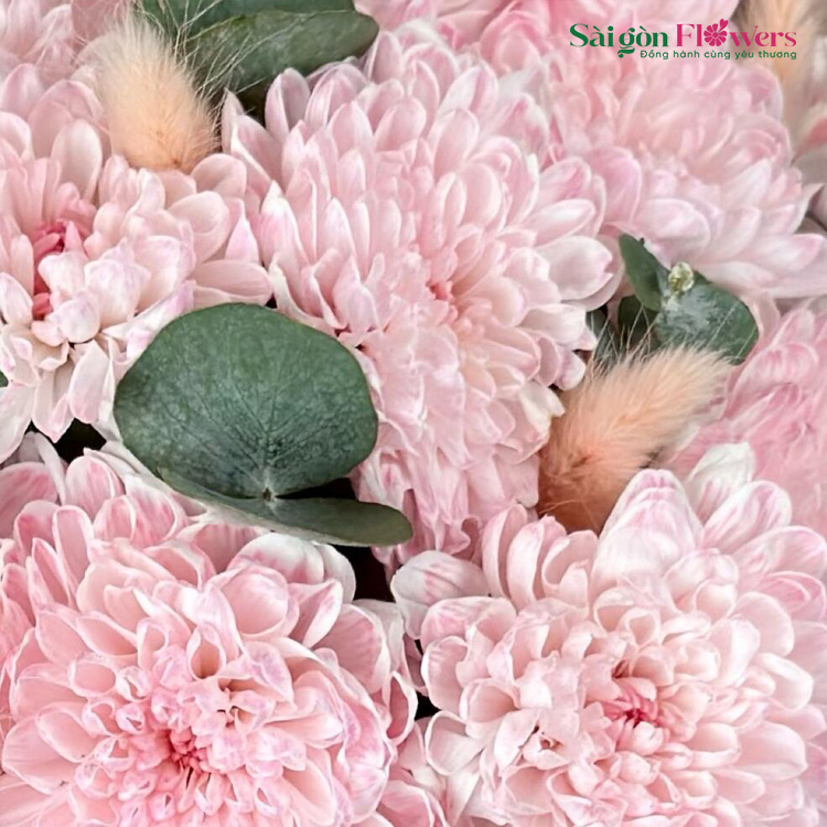 TÌNH CẢM MẶN NỒNG
