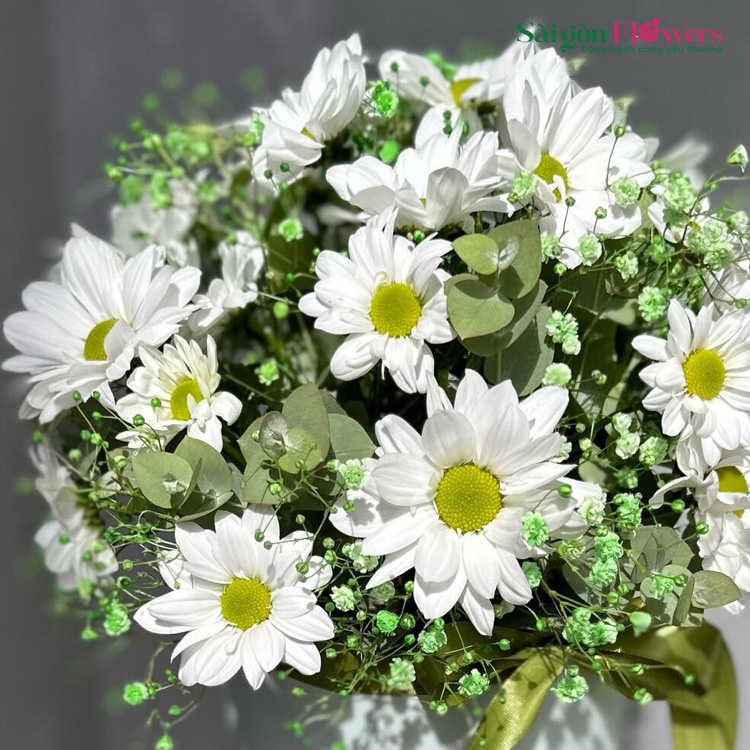 TINH KHIẾT TÌNH ĐẦU TIÊN