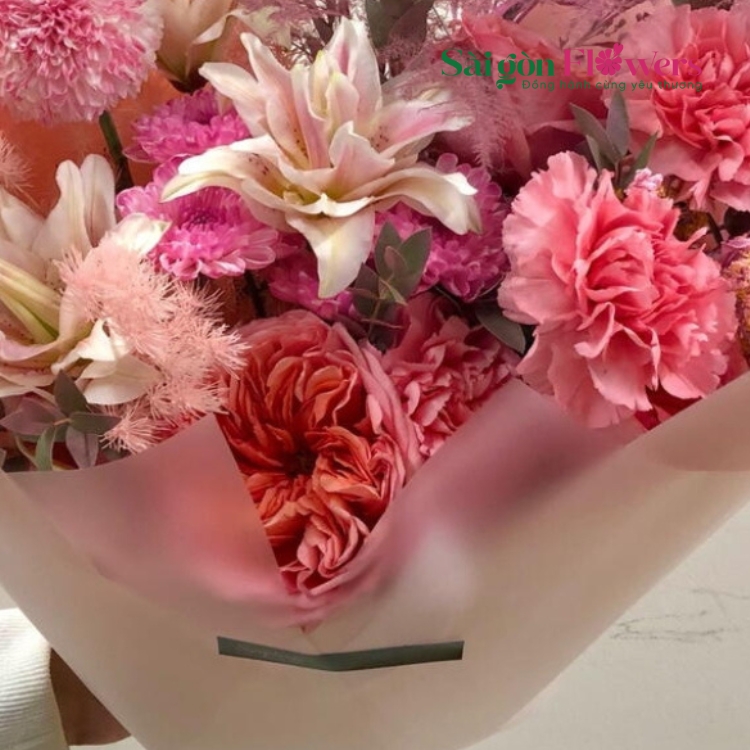 TUỔI HỒNG MỘNG MƠ
