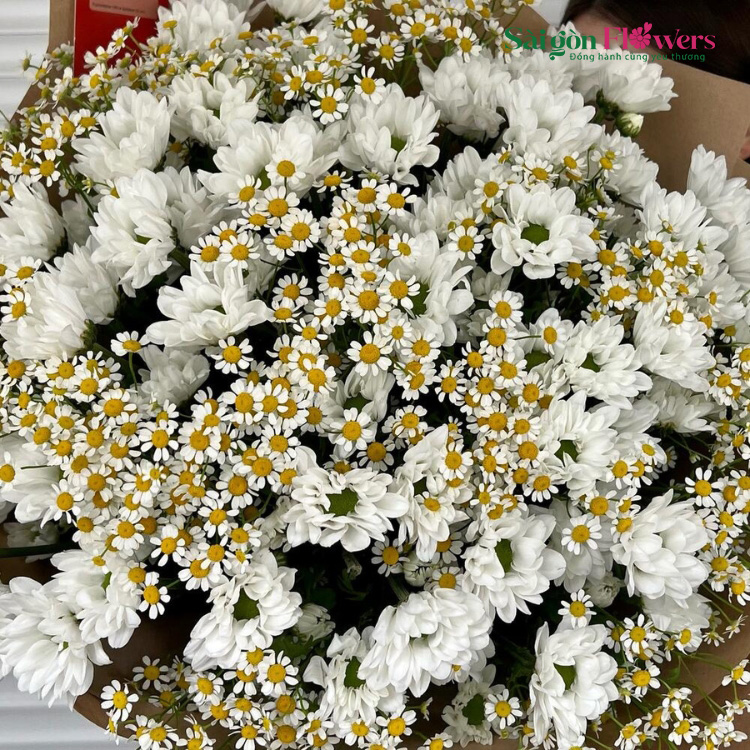 TƯƠNG LAI SÁNG NGỜI