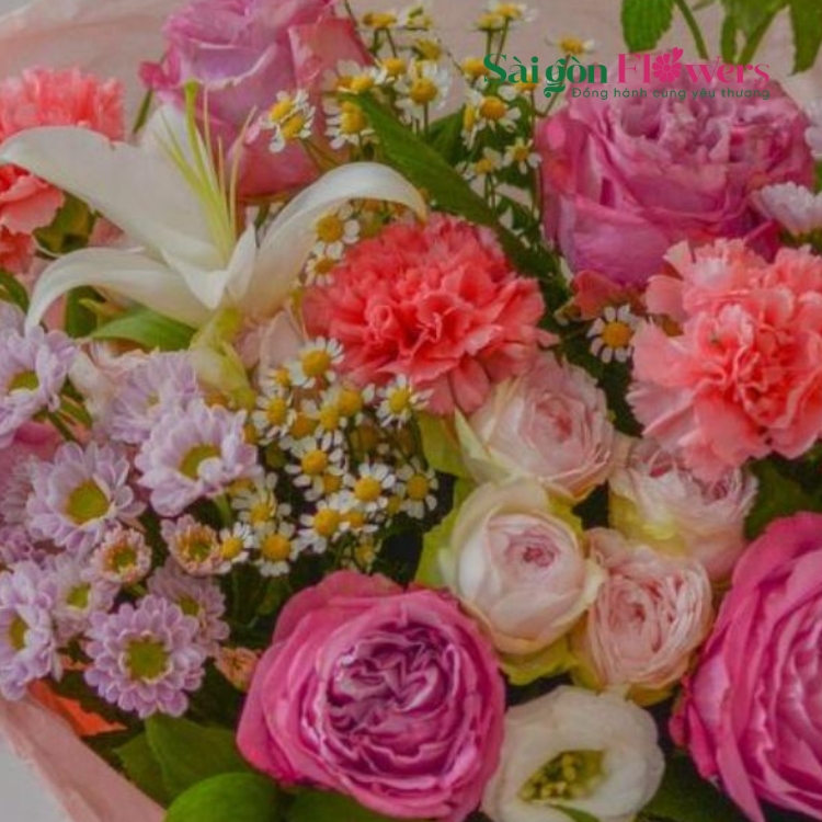 ƯỚC MƠ NHẠC SĨ