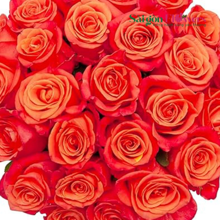 YÊU TỪ CÁI NHÌN ĐẦU TIÊN