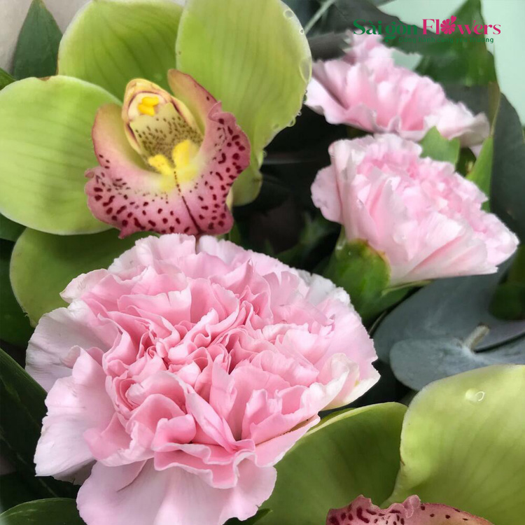 CẤP ĐỘ TÌNH YÊU