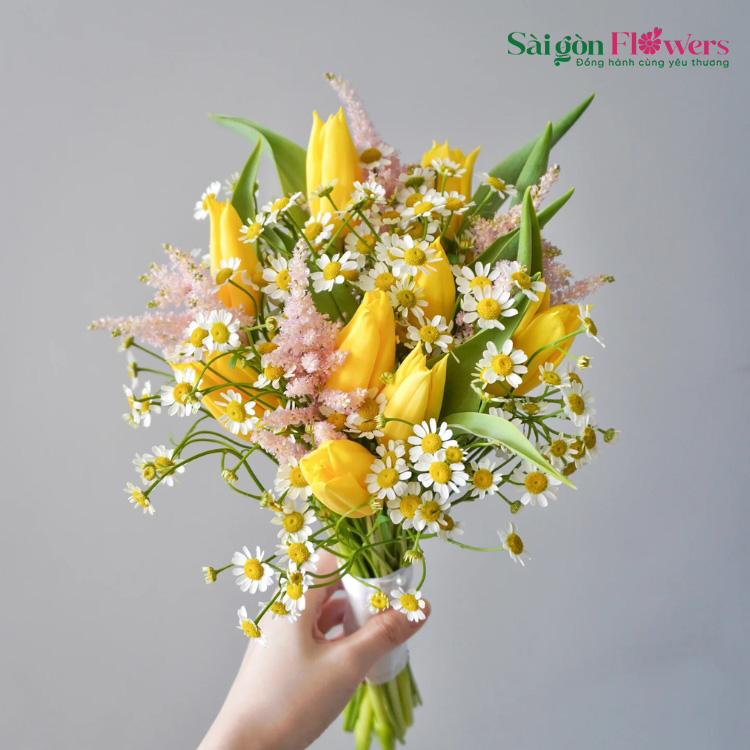 SỨC SỐNG