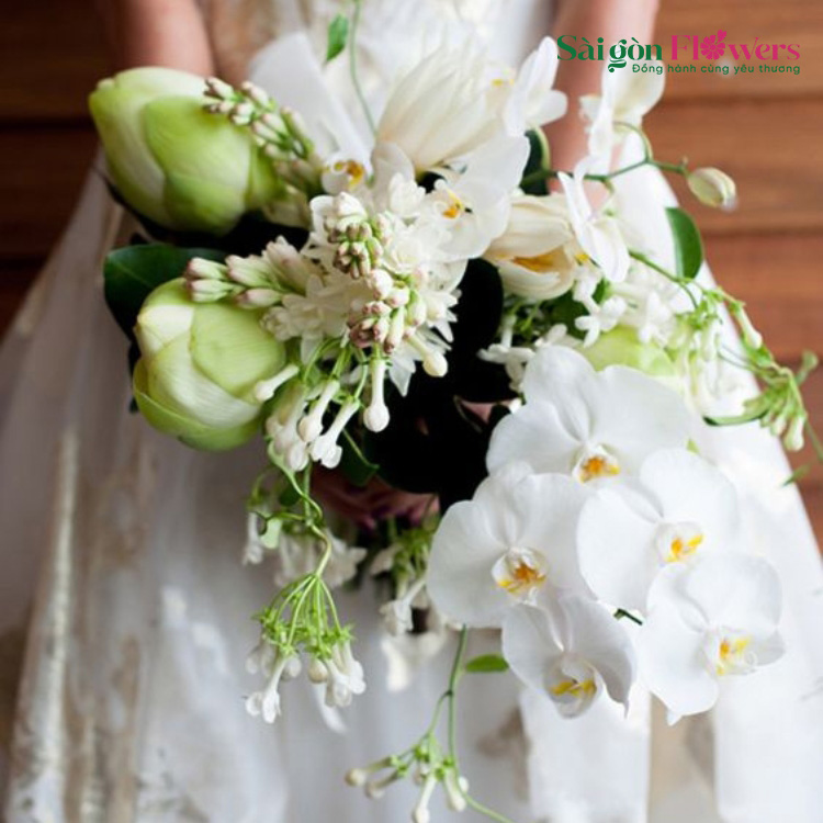 HẠNH PHÚC MÀU HỒNG 20