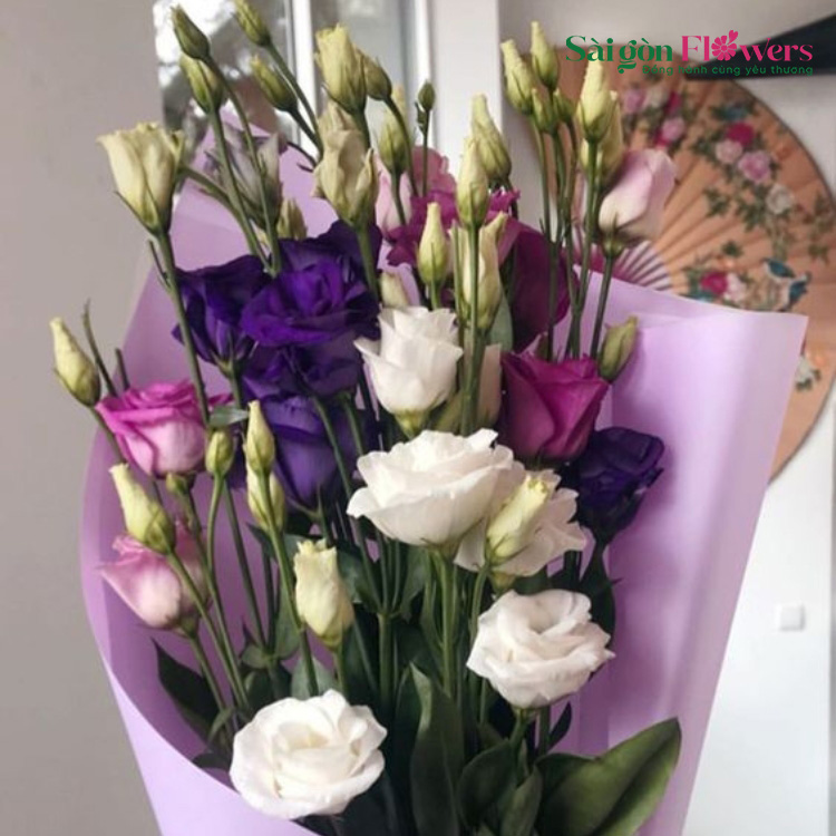 HOAN HỶ CÁT TƯỜNG 15