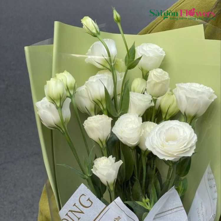 HOAN HỶ CÁT TƯỜNG 20