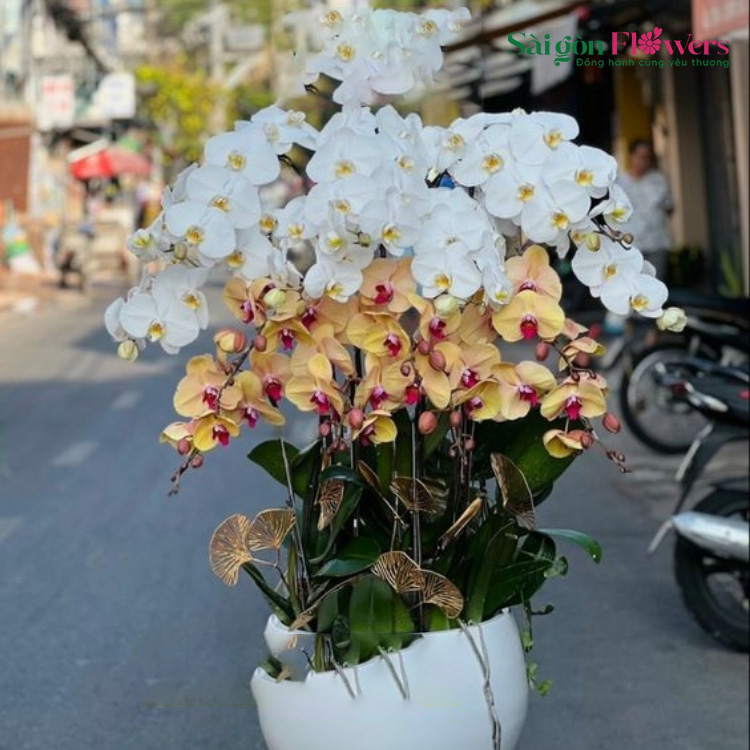 HƯƠNG LAN 18